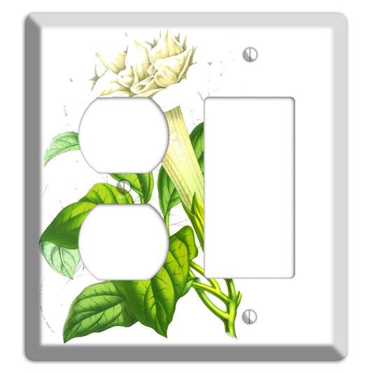 Datura Fastuosa Duplex / Rocker Wallplate