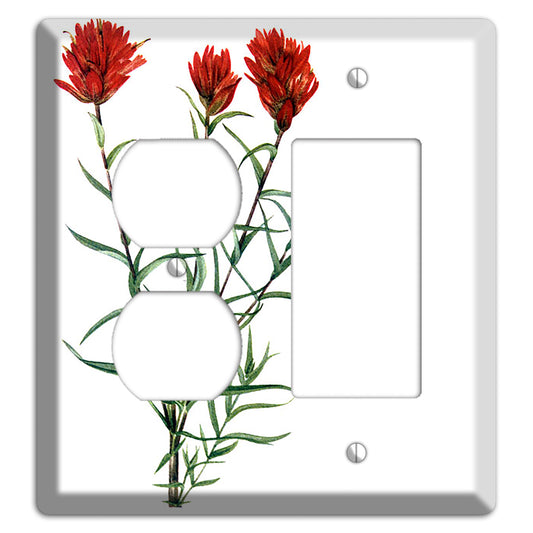 Castilleja Linarifolia Duplex / Rocker Wallplate