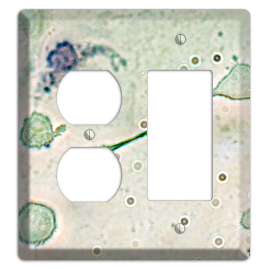 Macrophage Duplex / Rocker Wallplate