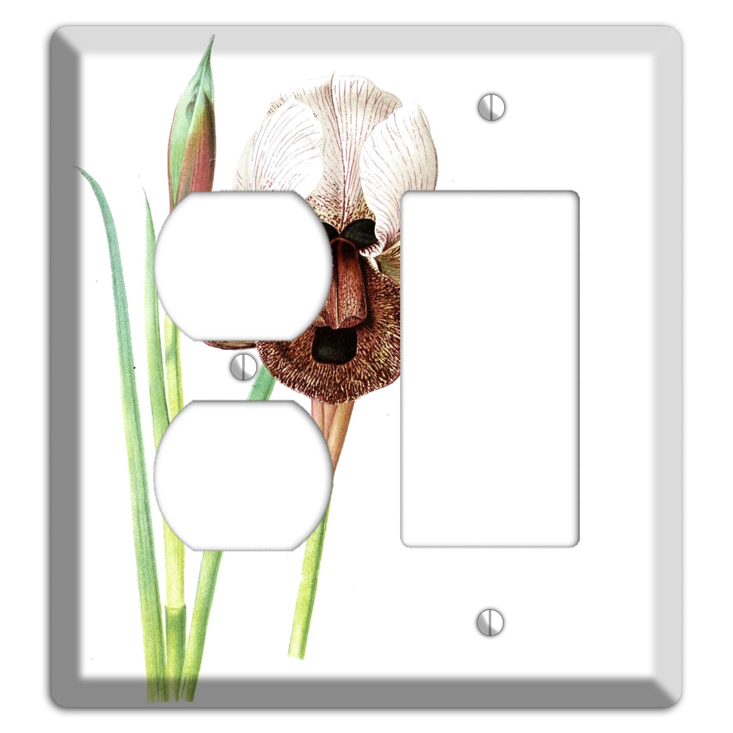 White iris Duplex / Rocker Wallplate