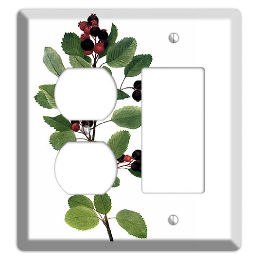 Amelanchier Ainifolia Duplex / Rocker Wallplate