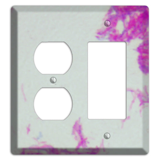 Mycobacterium Bovis Duplex / Rocker Wallplate