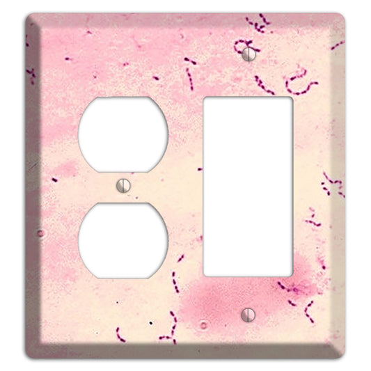 Streptococcus Mutans Duplex / Rocker Wallplate