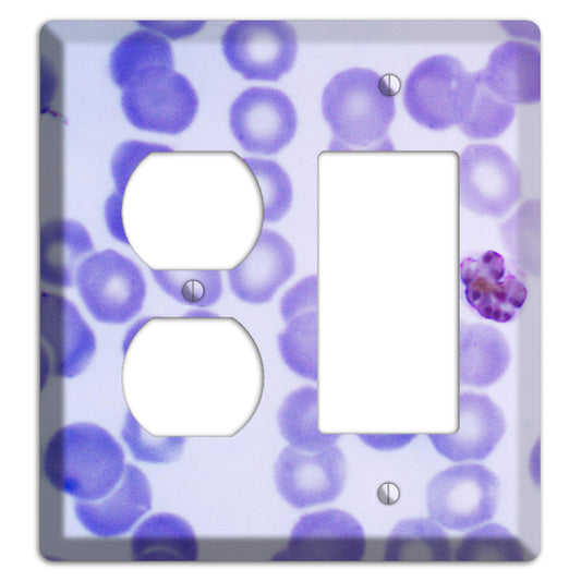 Plasmodium Malariae Schizont Duplex / Rocker Wallplate