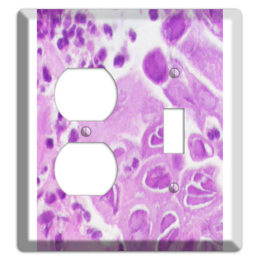 Esophagus Herpes Duplex / Toggle Wallplate