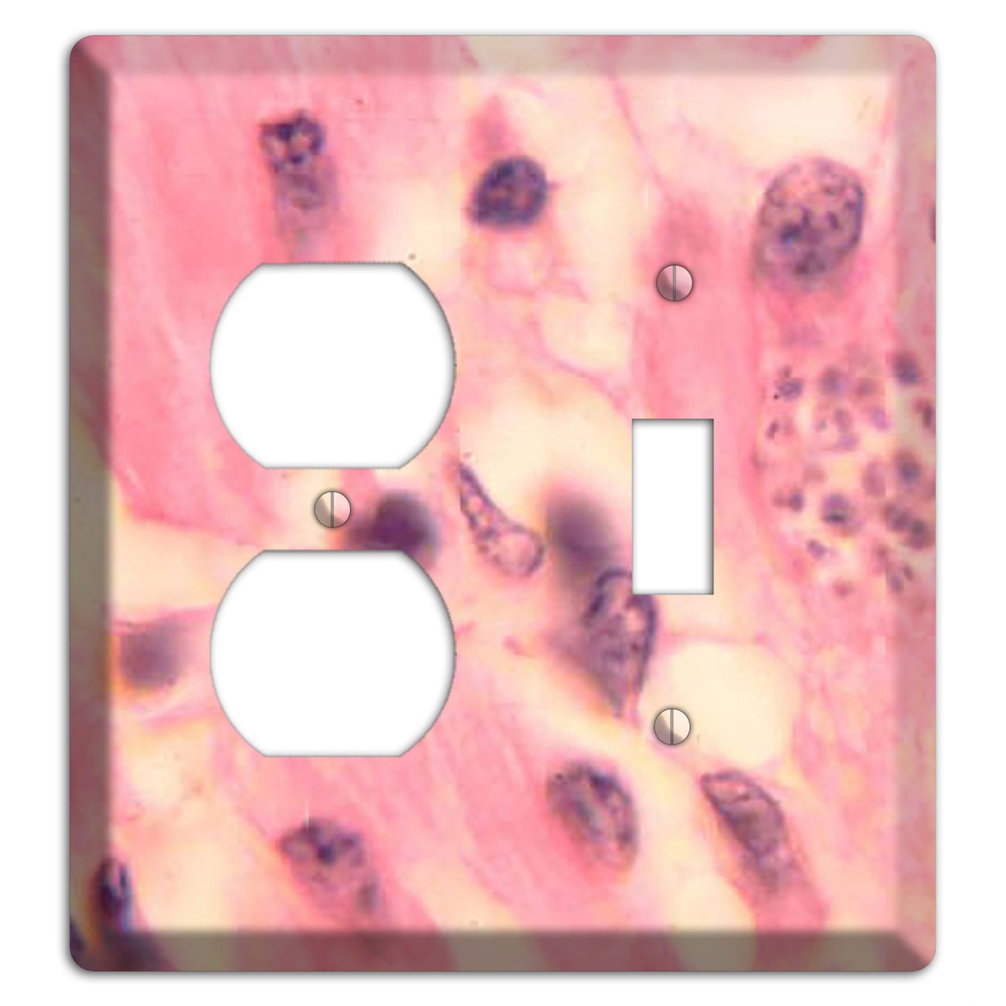 Trypanosoma Cruzi Heart Duplex / Toggle Wallplate