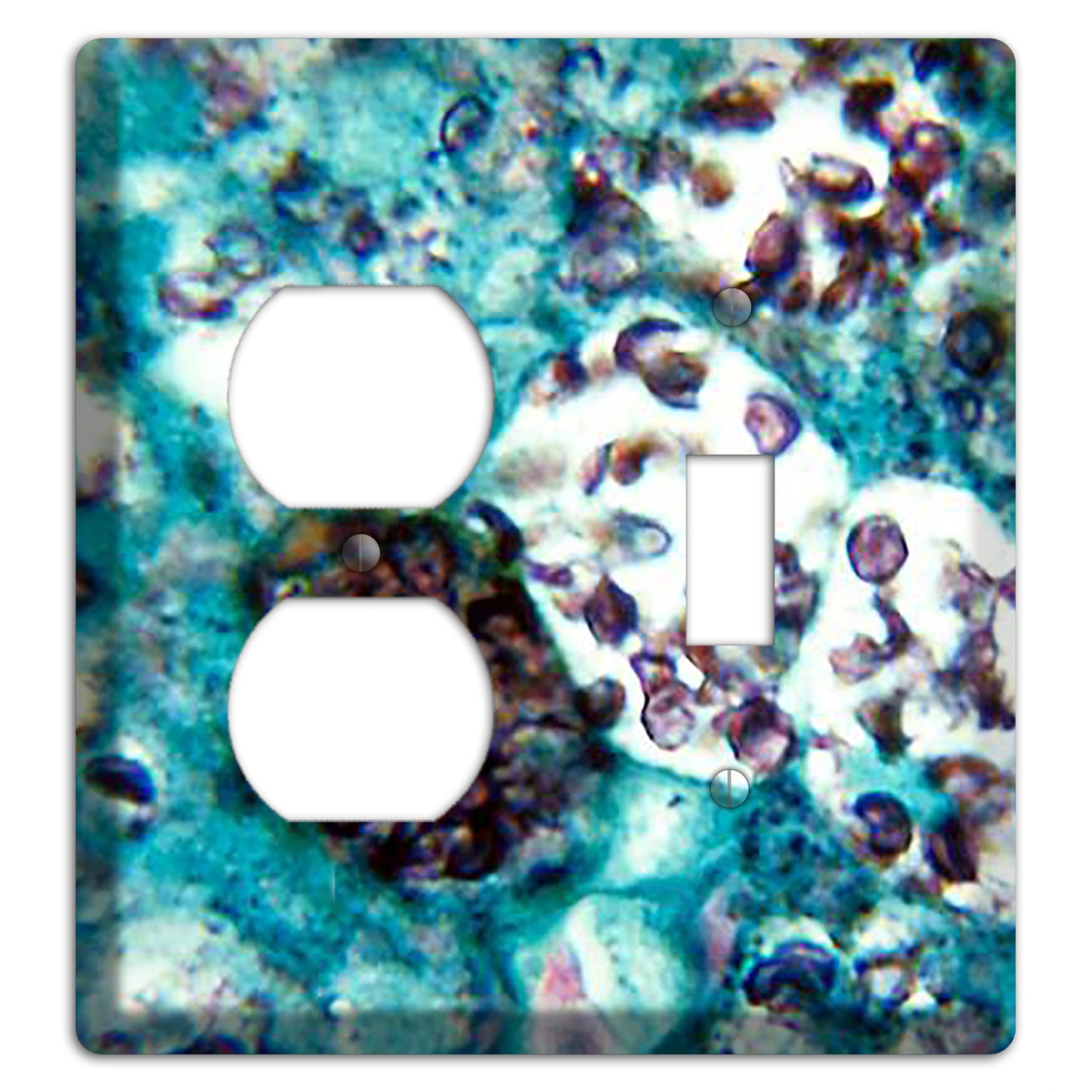 Histoplasmosis Capsulatum Duplex / Toggle Wallplate