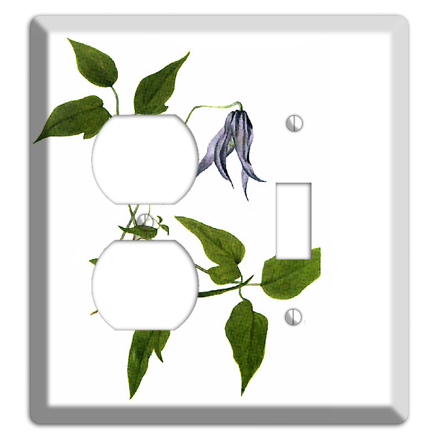 Clematis Columbiana Duplex / Toggle Wallplate