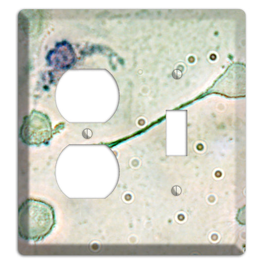 Macrophage Duplex / Toggle Wallplate