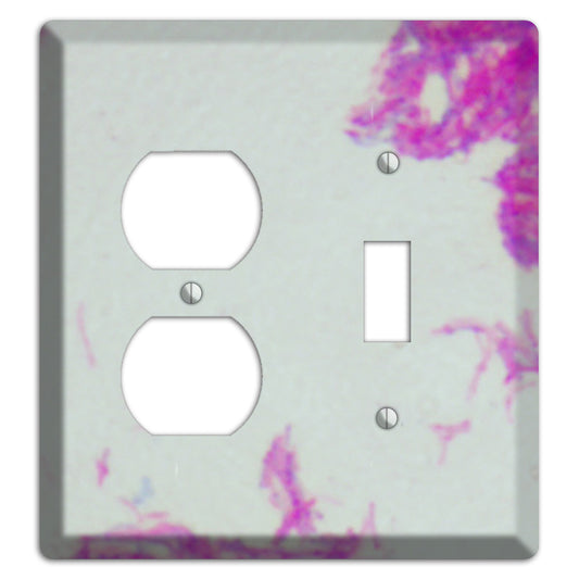 Mycobacterium Bovis Duplex / Toggle Wallplate