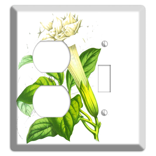 Datura Fastuosa Duplex / Toggle Wallplate