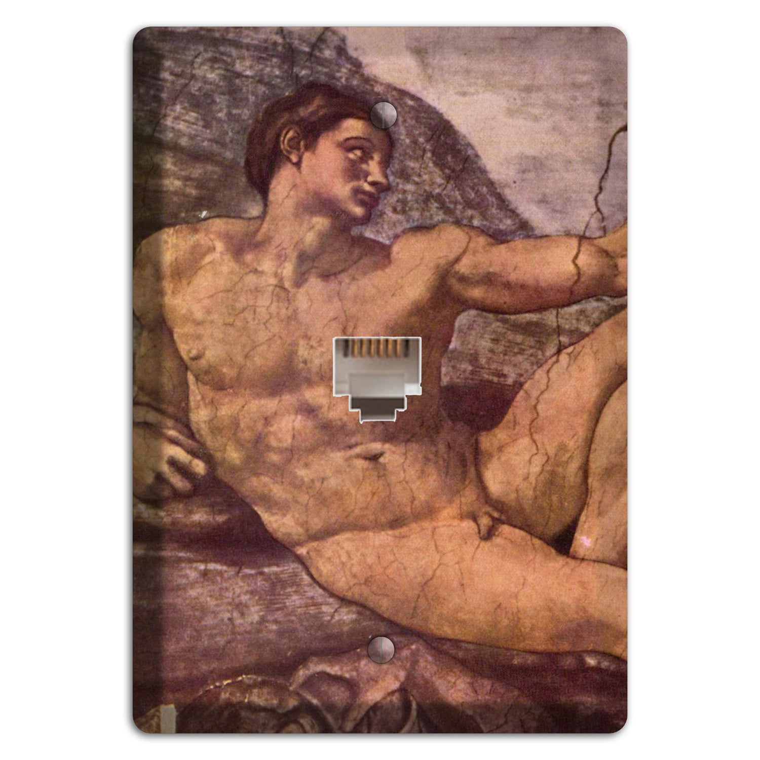 Michelangelo 2 Phone Wallplate