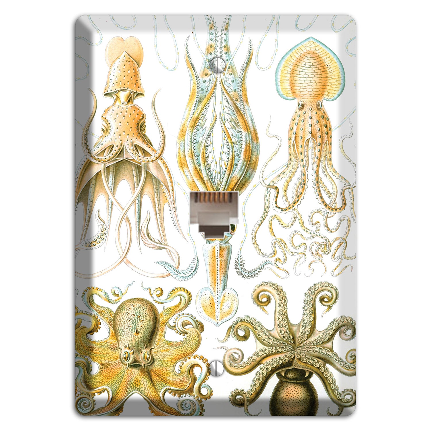 Haeckel - Gamochonia Phone Wallplate