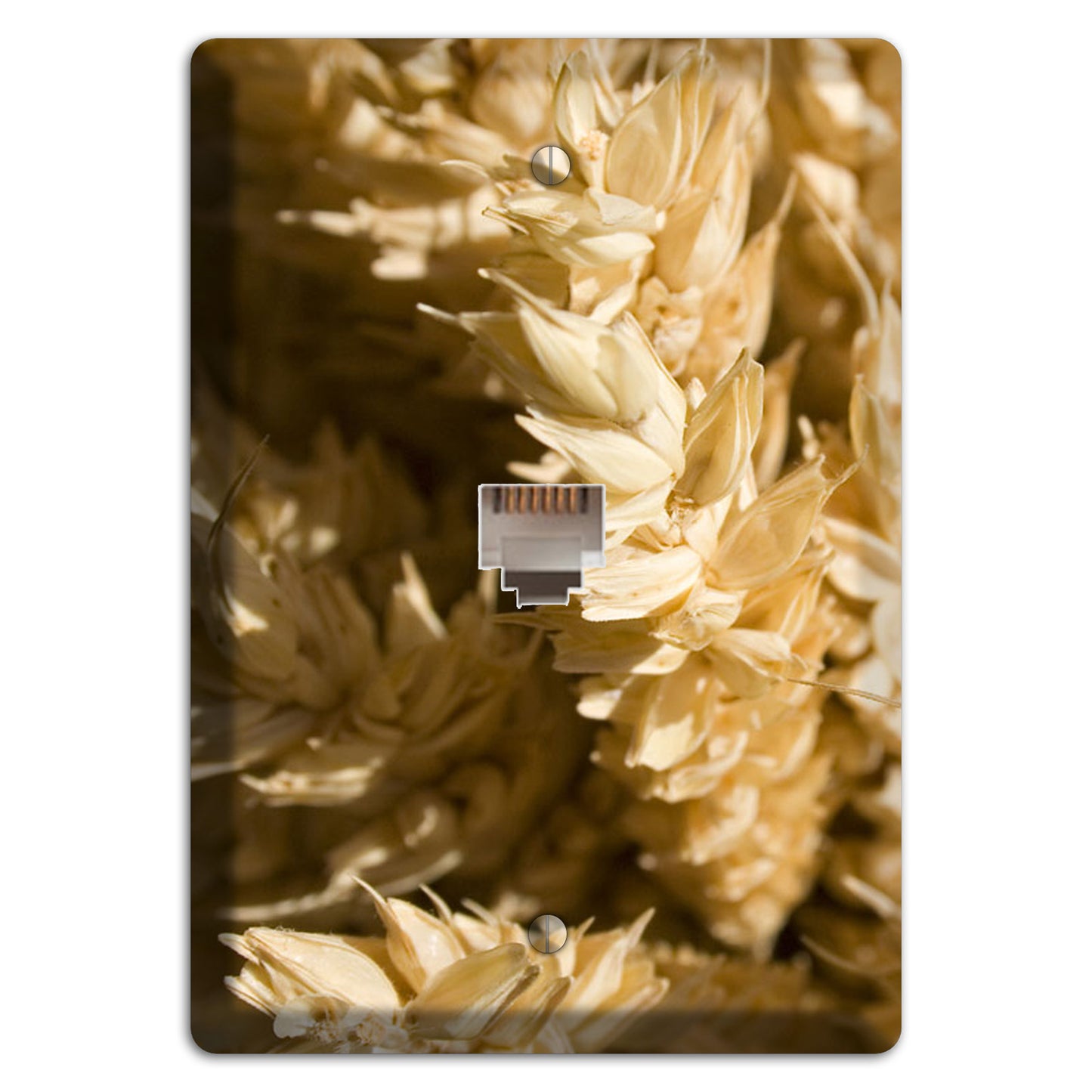 Wheat Phone Wallplate