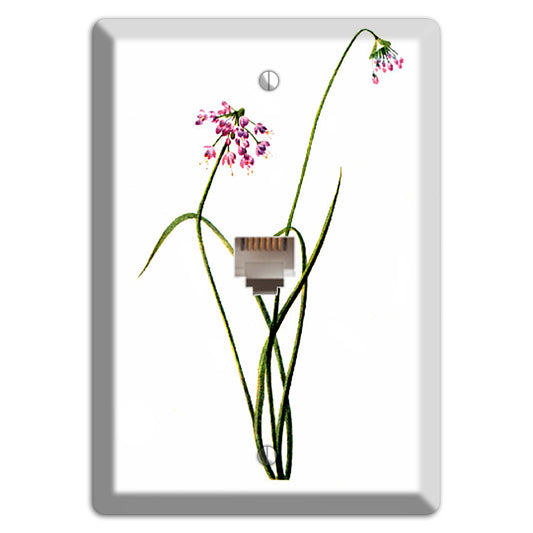 Allium Cernum Phone Wallplate