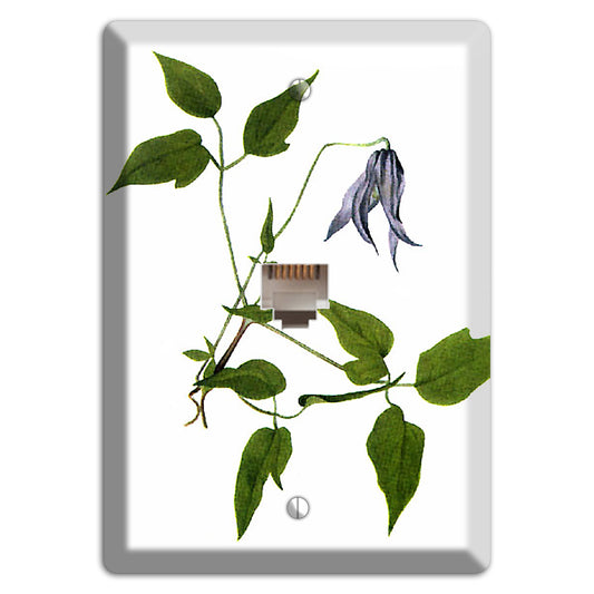 Clematis Columbiana Phone Wallplate