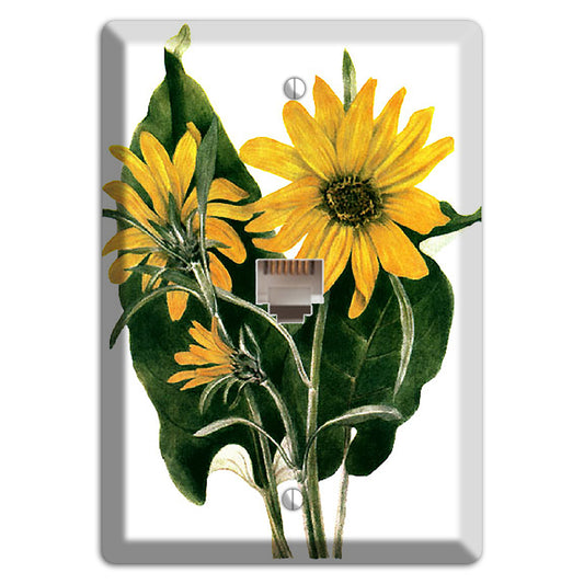 Balsamorhiza Sagittata Phone Wallplate