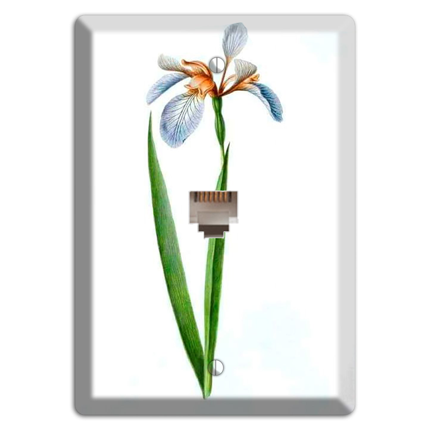 White Iris 2 Phone Wallplate