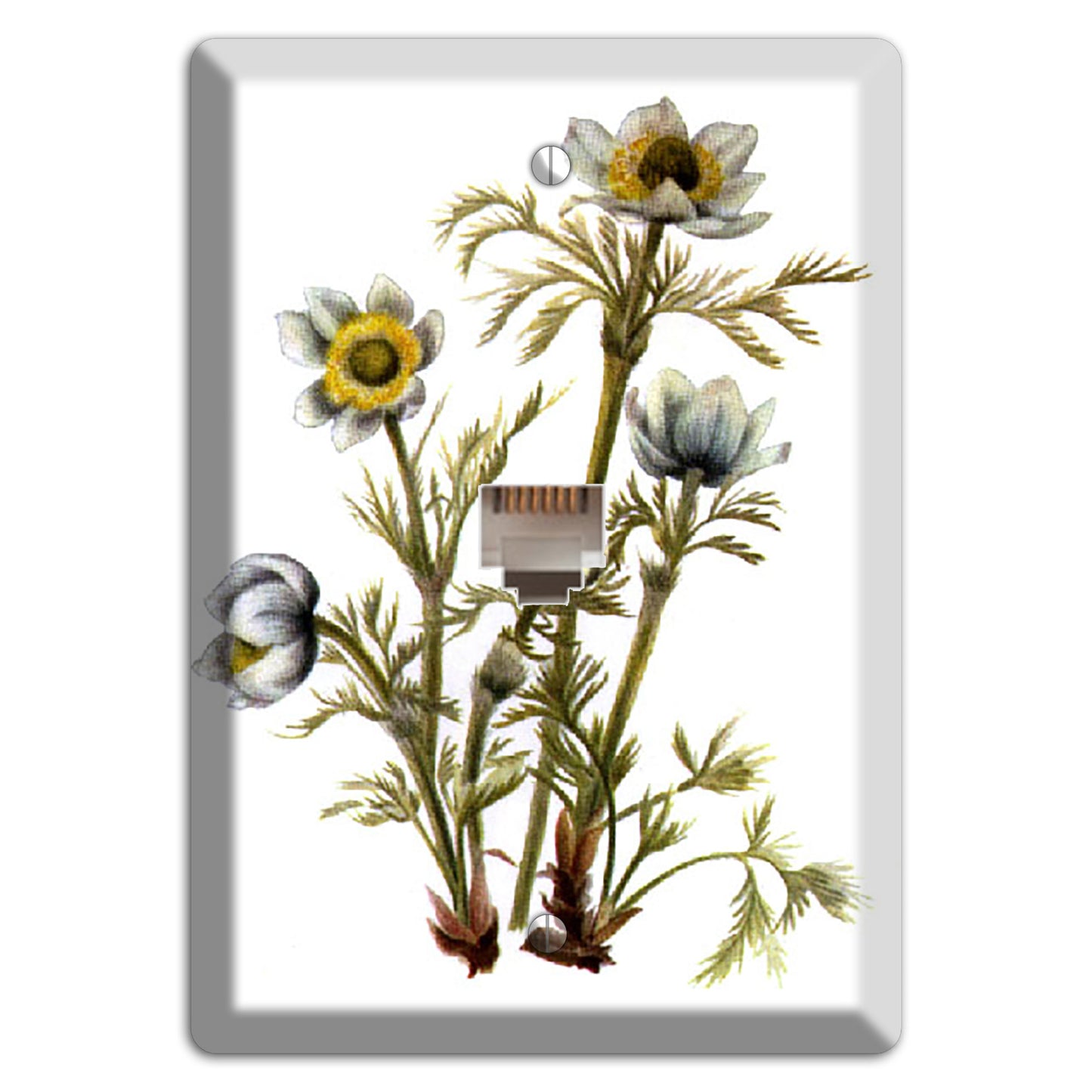 Aenmone Occitentalis Phone Wallplate