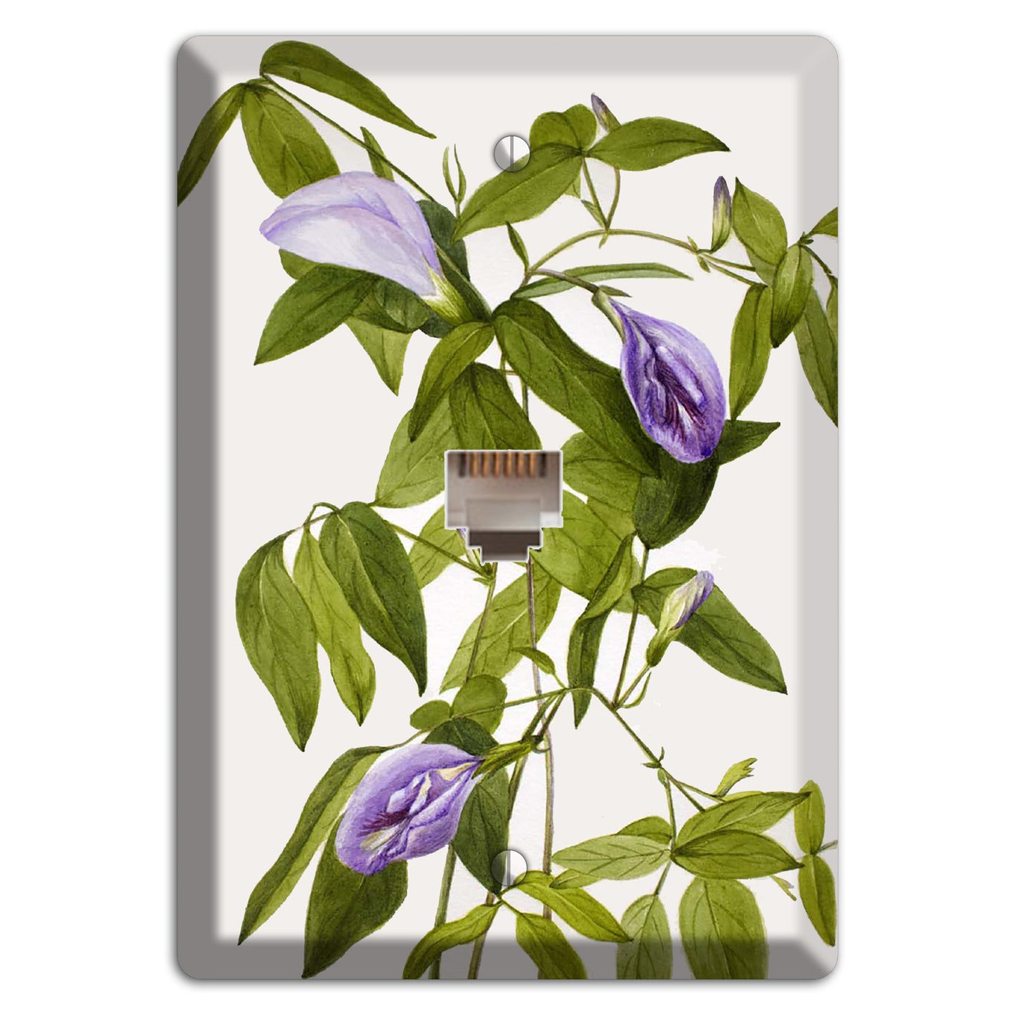 Clitoria Mariana Phone Wallplate