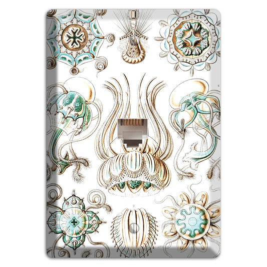 Haeckel - Narcomedusae Phone Wallplate