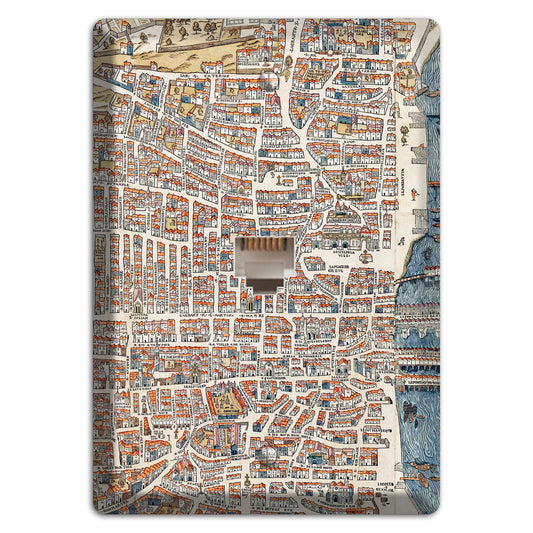 Aerial View Phone Wallplate