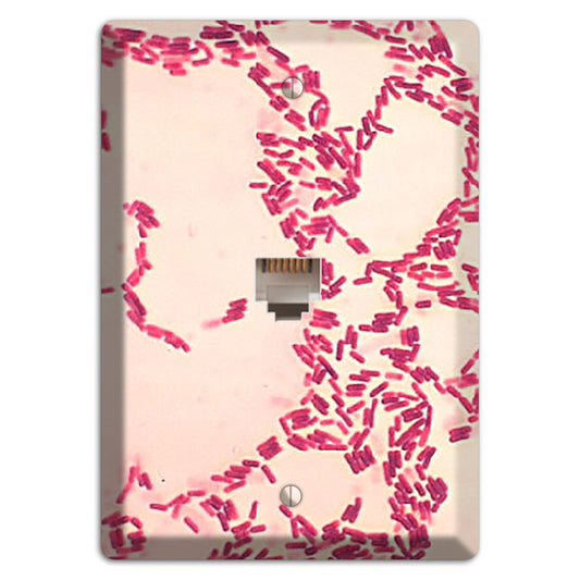 Bacillus Coagulans Phone Wallplate