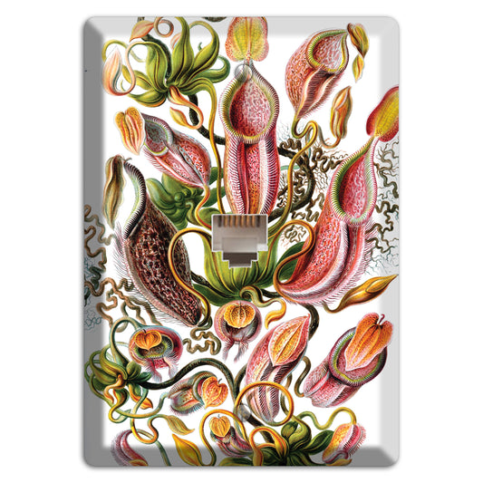 Haeckel - Nepenthaceae Phone Wallplate