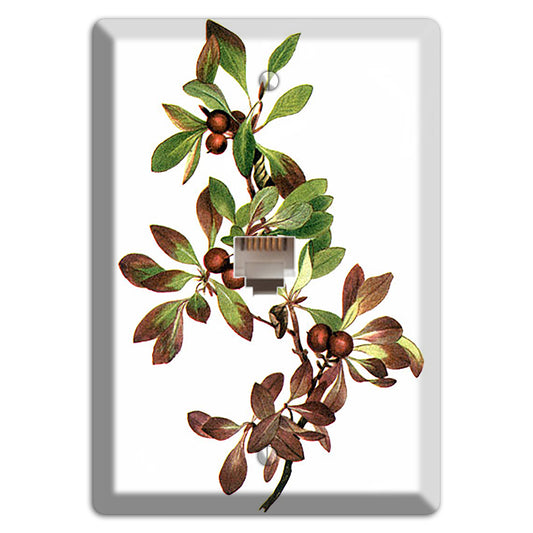 Arietustaphylos Alpha Phone Wallplate