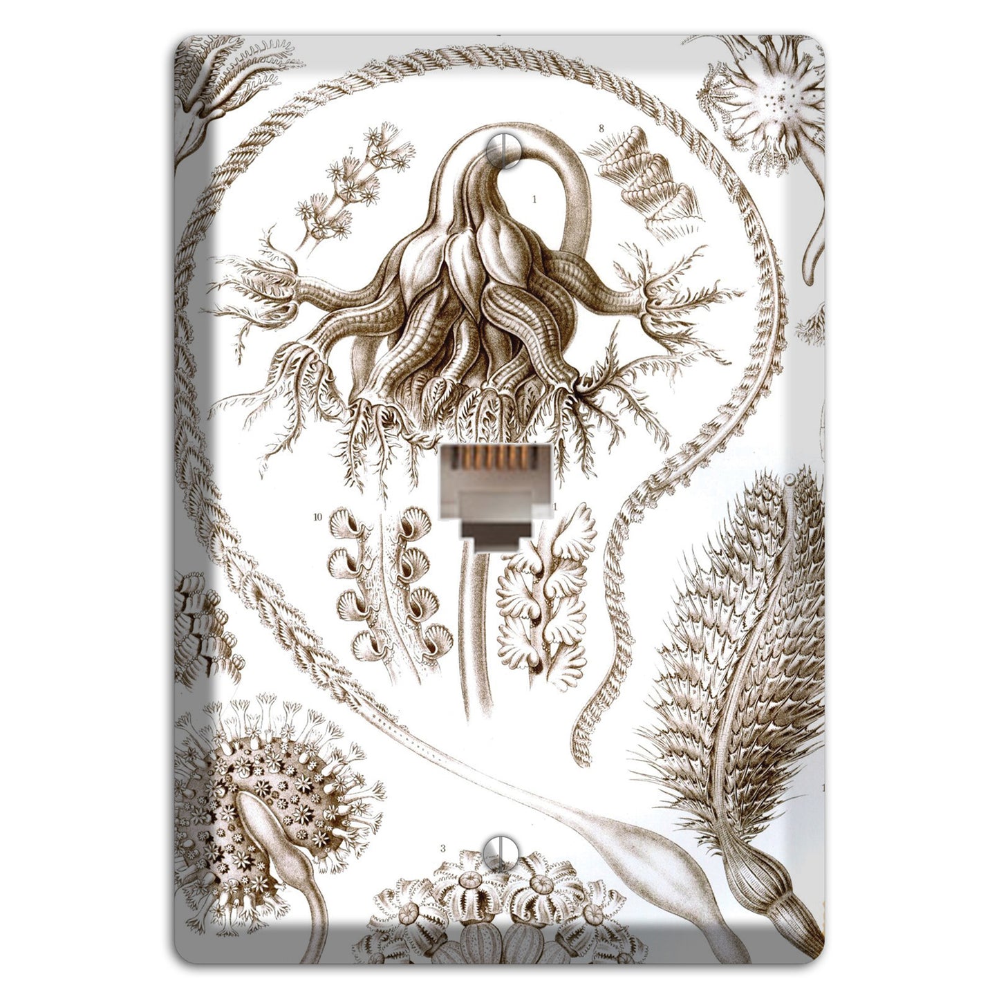 Haeckel - Pennatulida Phone Wallplate