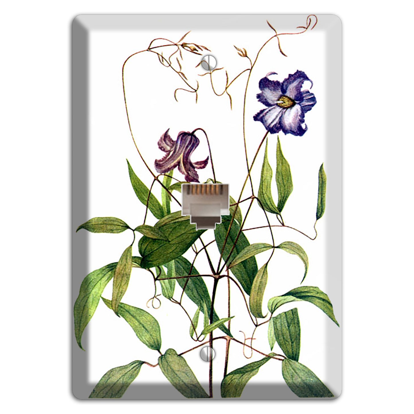 Clematis Crispa Phone Wallplate