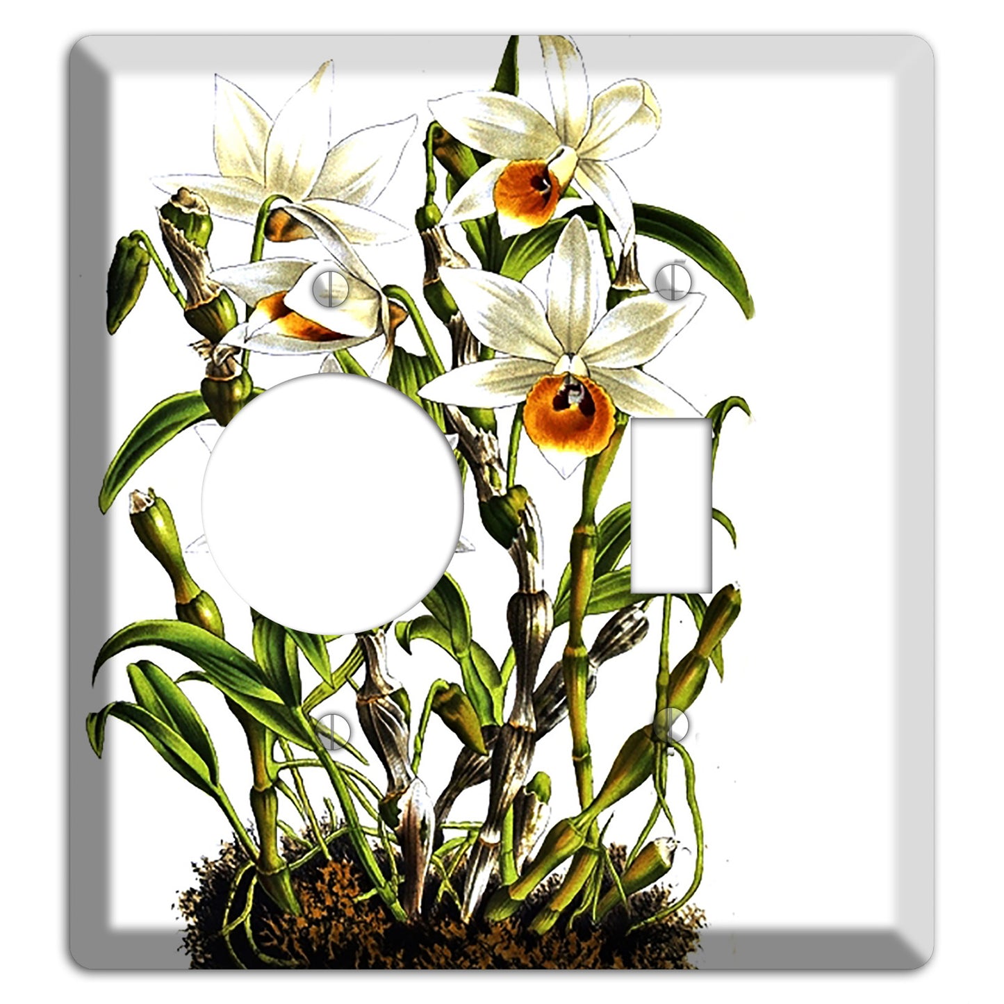 Dendrobium Receptacle / Toggle Wallplate