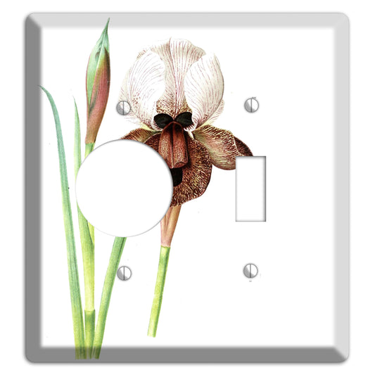 White iris Receptacle / Toggle Wallplate