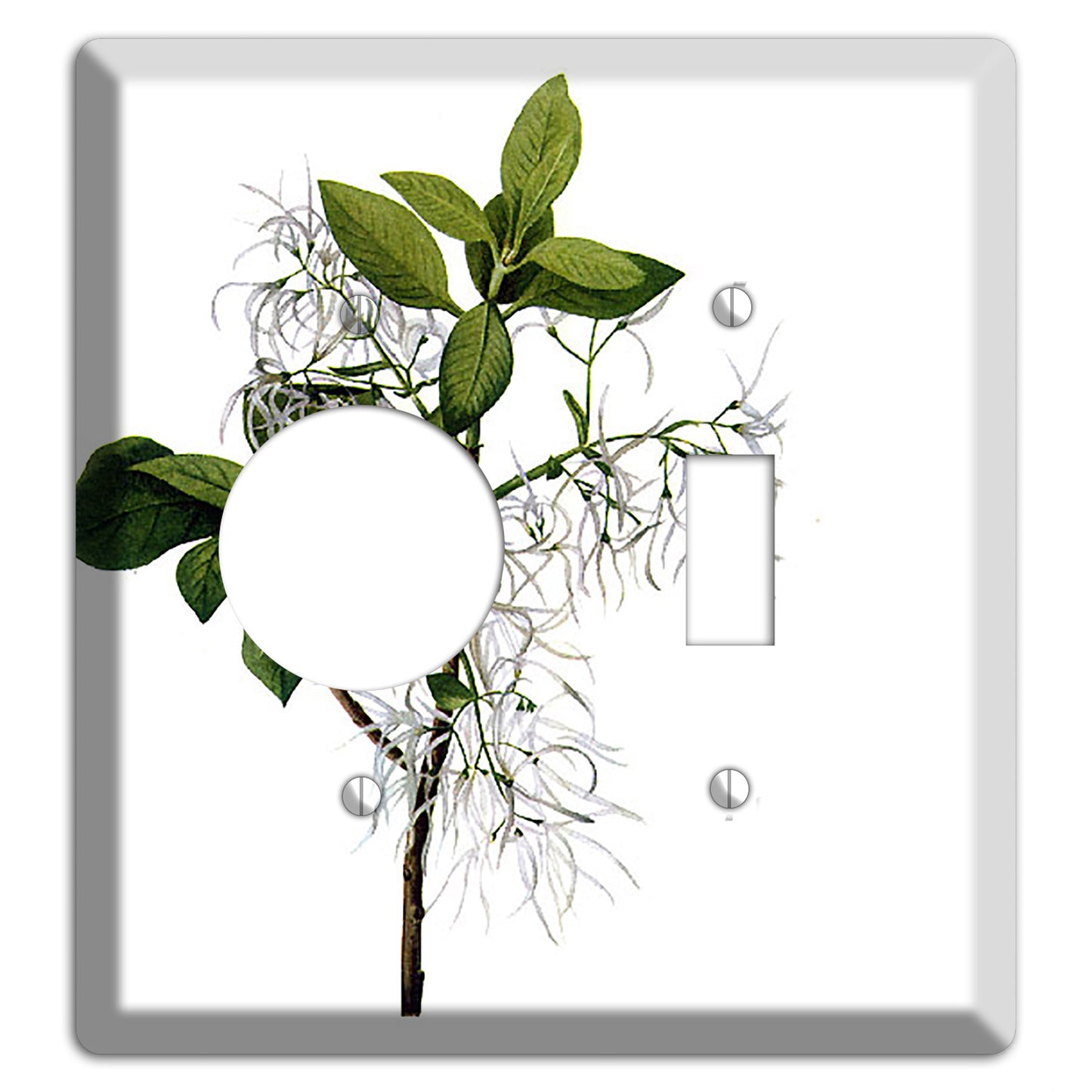 Chionathus Virginiana Receptacle / Toggle Wallplate