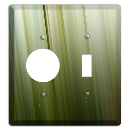 Olive Ray of Light 2 Receptacle / Toggle Wallplate