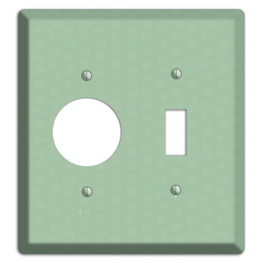 Sage Tiny Cartouche Receptacle / Toggle Wallplate