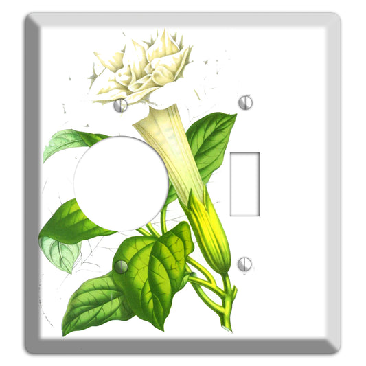 Datura Fastuosa Receptacle / Toggle Wallplate