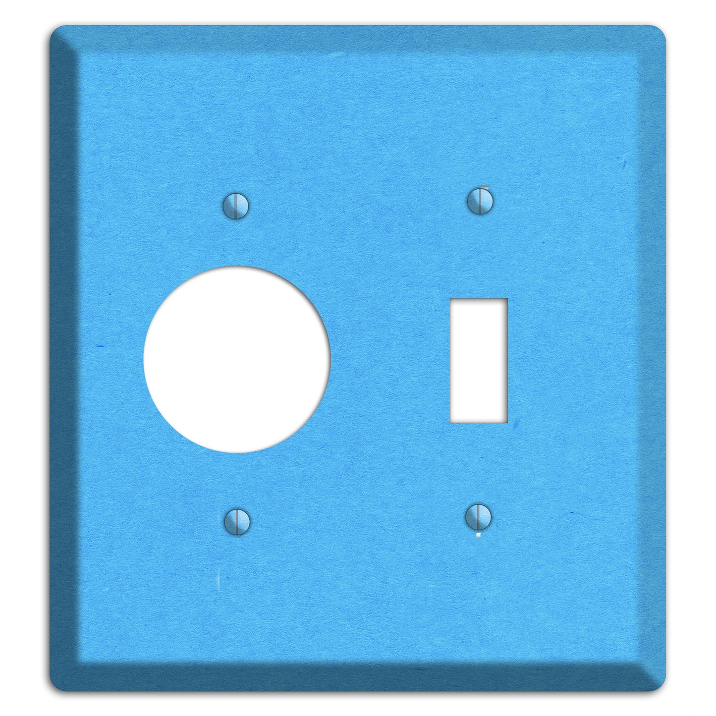 Maya Blue Kraft Receptacle / Toggle Wallplate