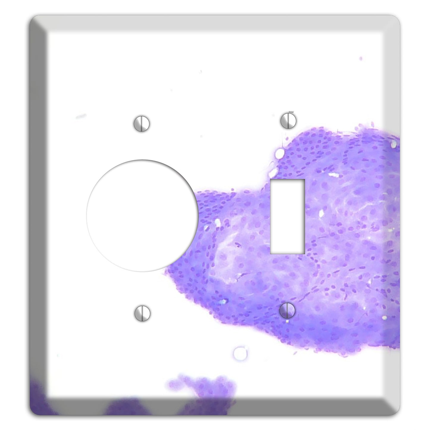 Perianal Gland Tumor Cytology Receptacle / Toggle Wallplate