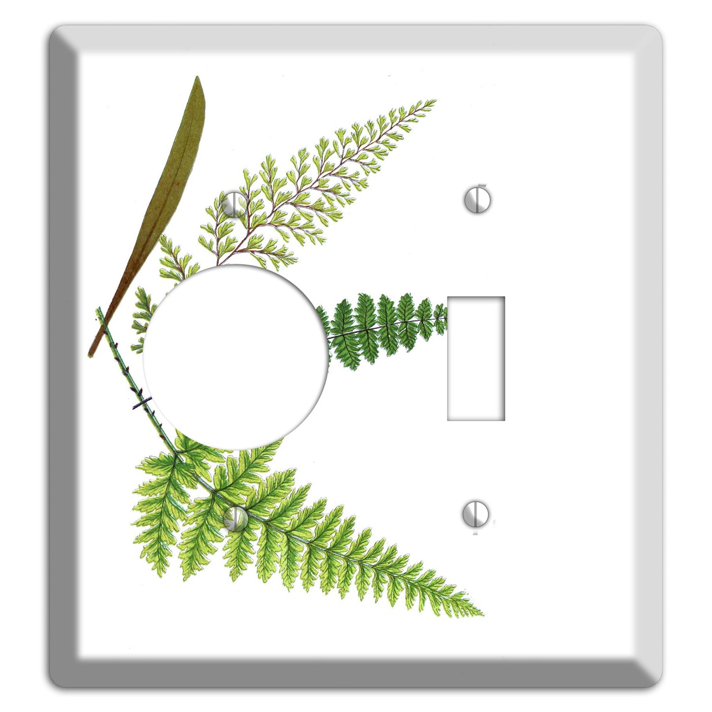 Ferns Receptacle / Toggle Wallplate