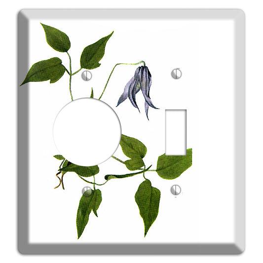 Clematis Columbiana Receptacle / Toggle Wallplate