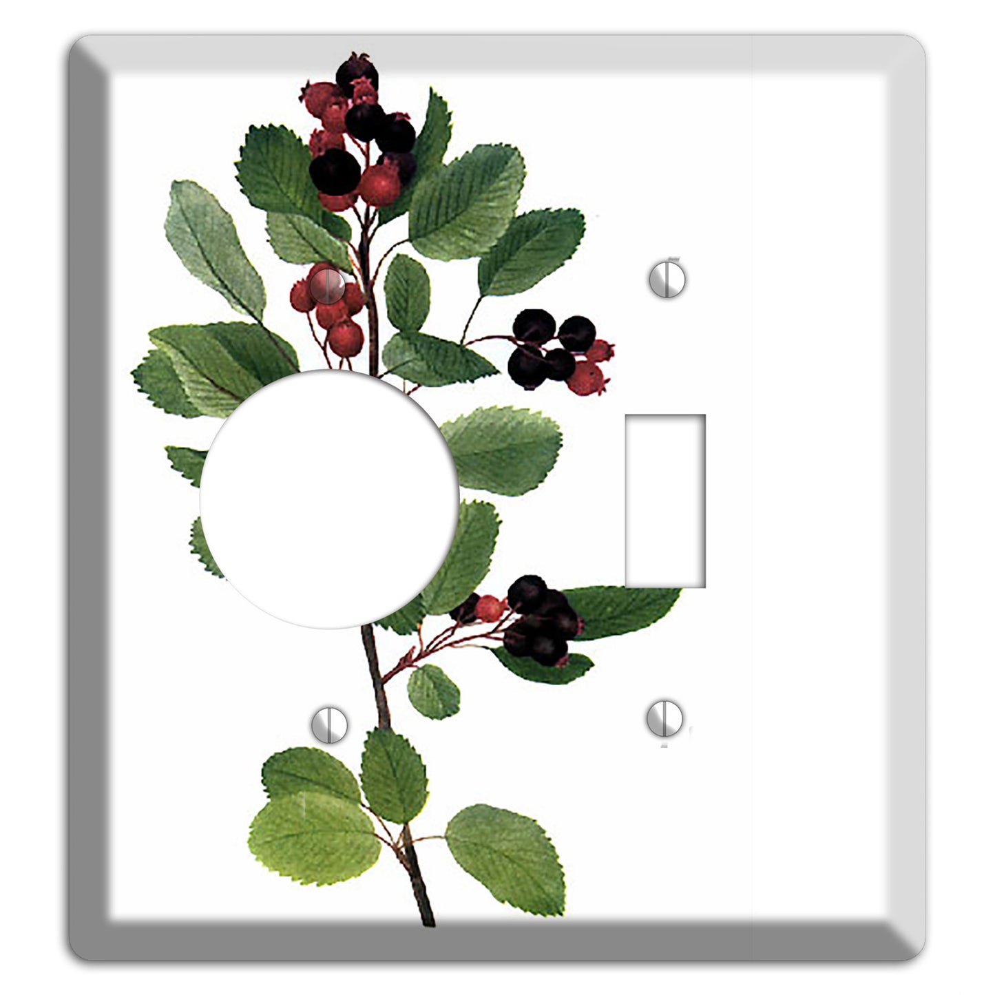 Amelanchier Ainifolia Receptacle / Toggle Wallplate