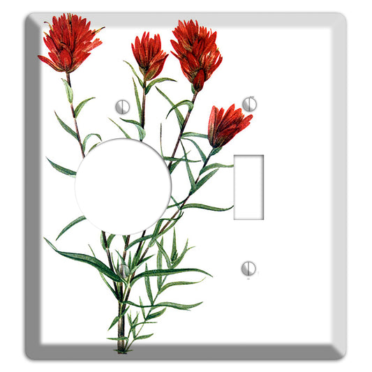 Castilleja Linarifolia Receptacle / Toggle Wallplate