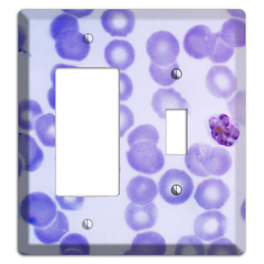 Plasmodium Malariae Schizont Rocker / Toggle Wallplate