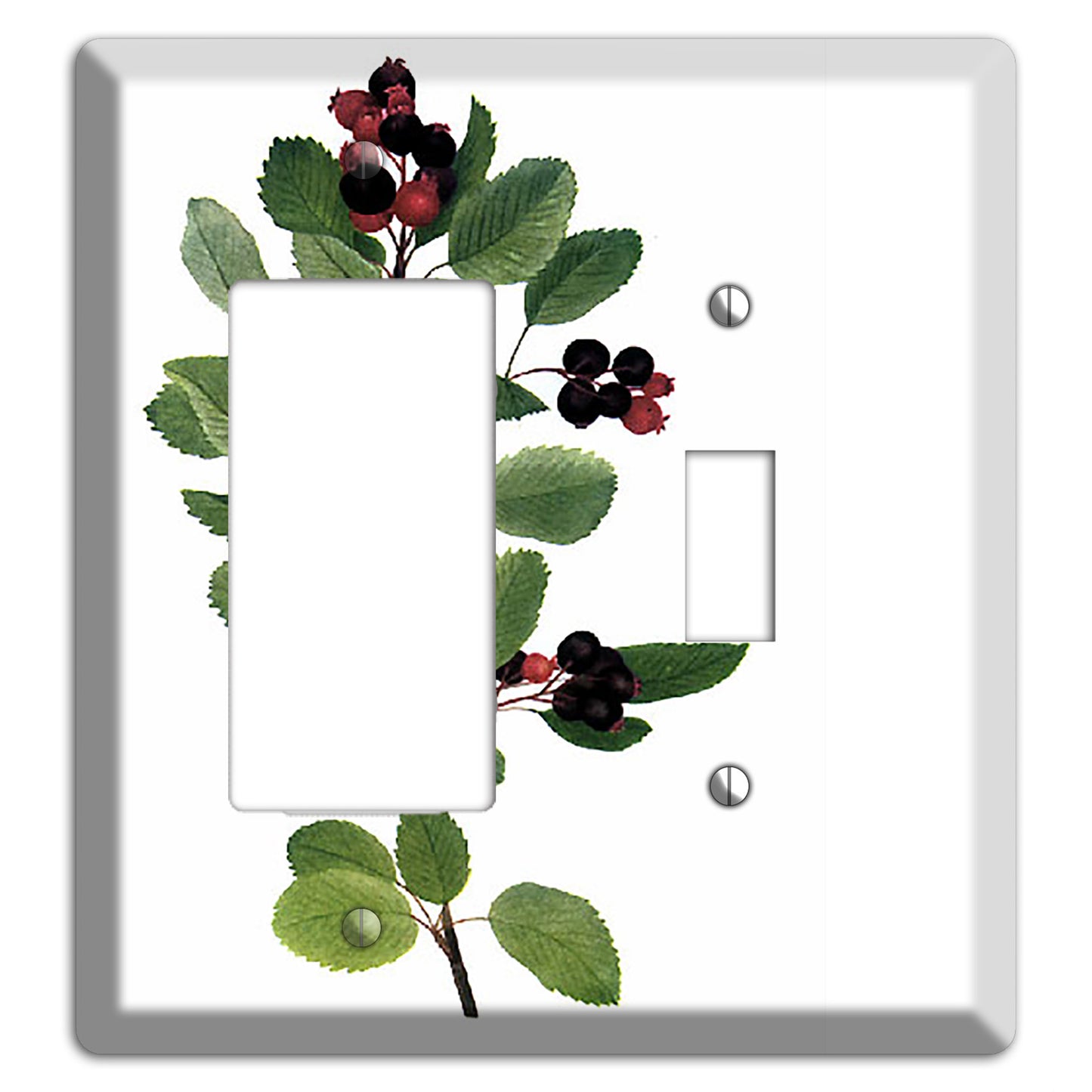 Amelanchier Ainifolia Rocker / Toggle Wallplate