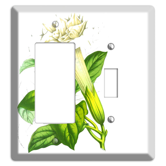 Datura Fastuosa Rocker / Toggle Wallplate