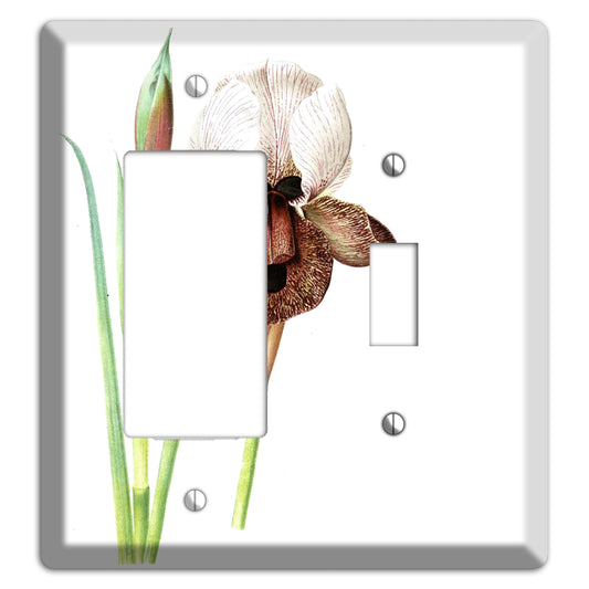 White iris Rocker / Toggle Wallplate