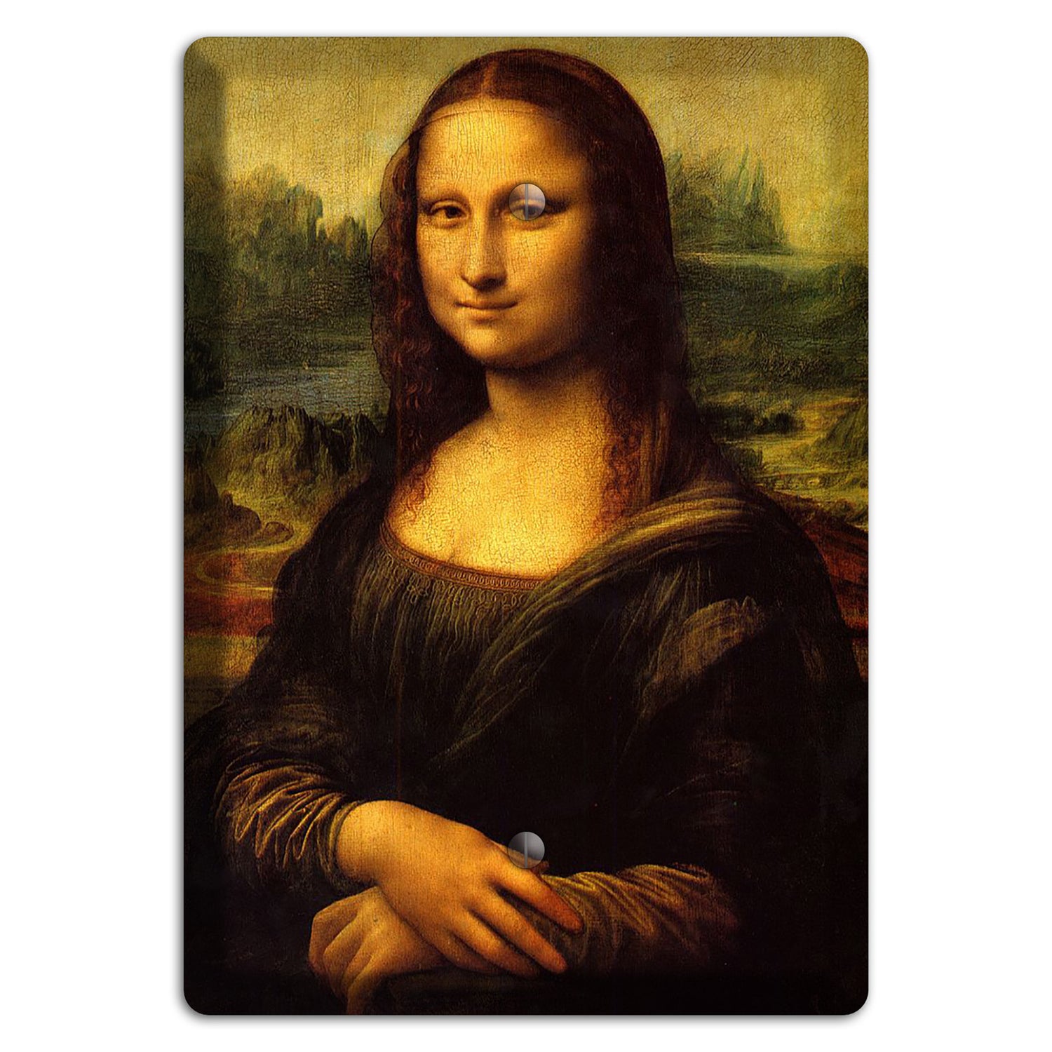 Da Vinci - Mona Lisa 2 Blank Wallplate – Wallplates.com