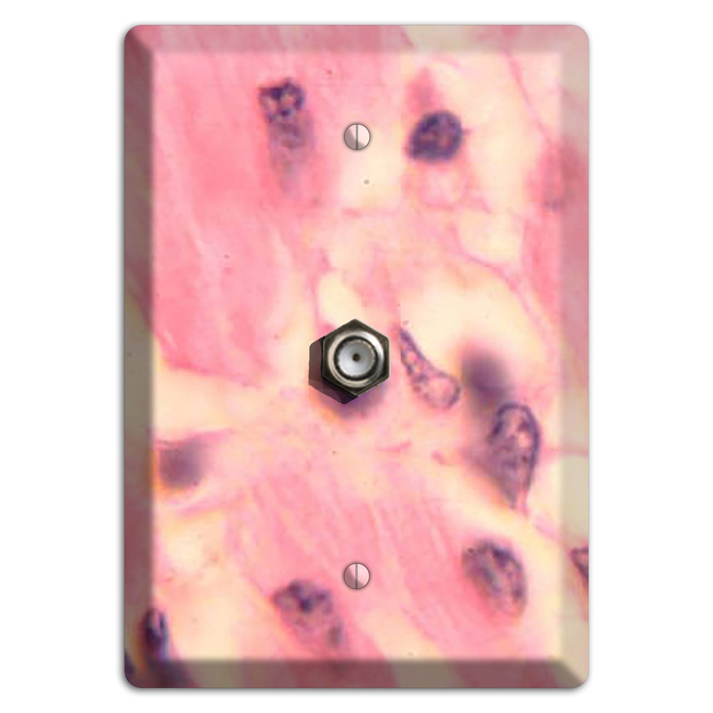 Trypanosoma Cruzi Heart Cable Wallplate