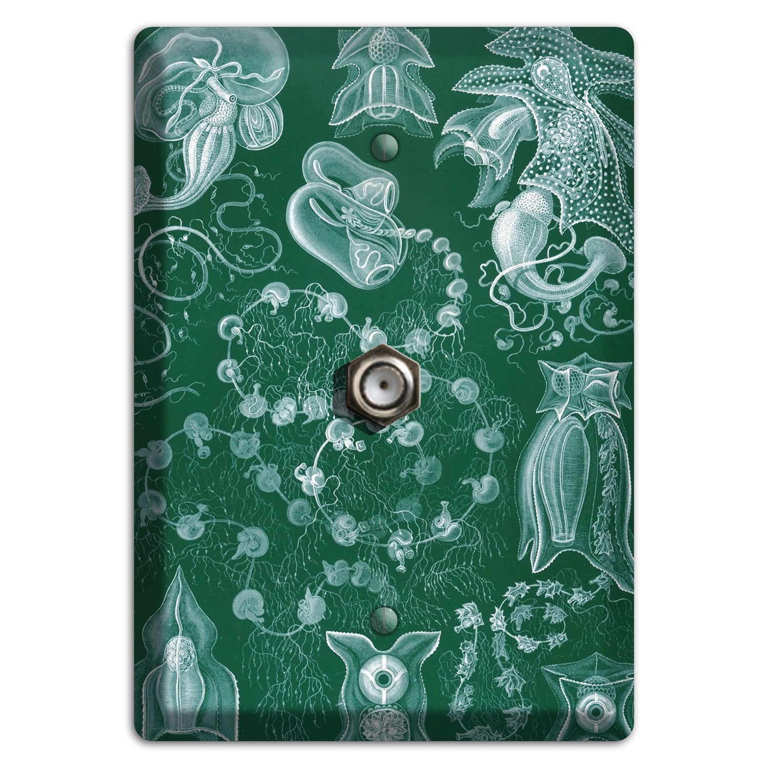 Haeckel - Siphonophorae 2 Cable Wallplate